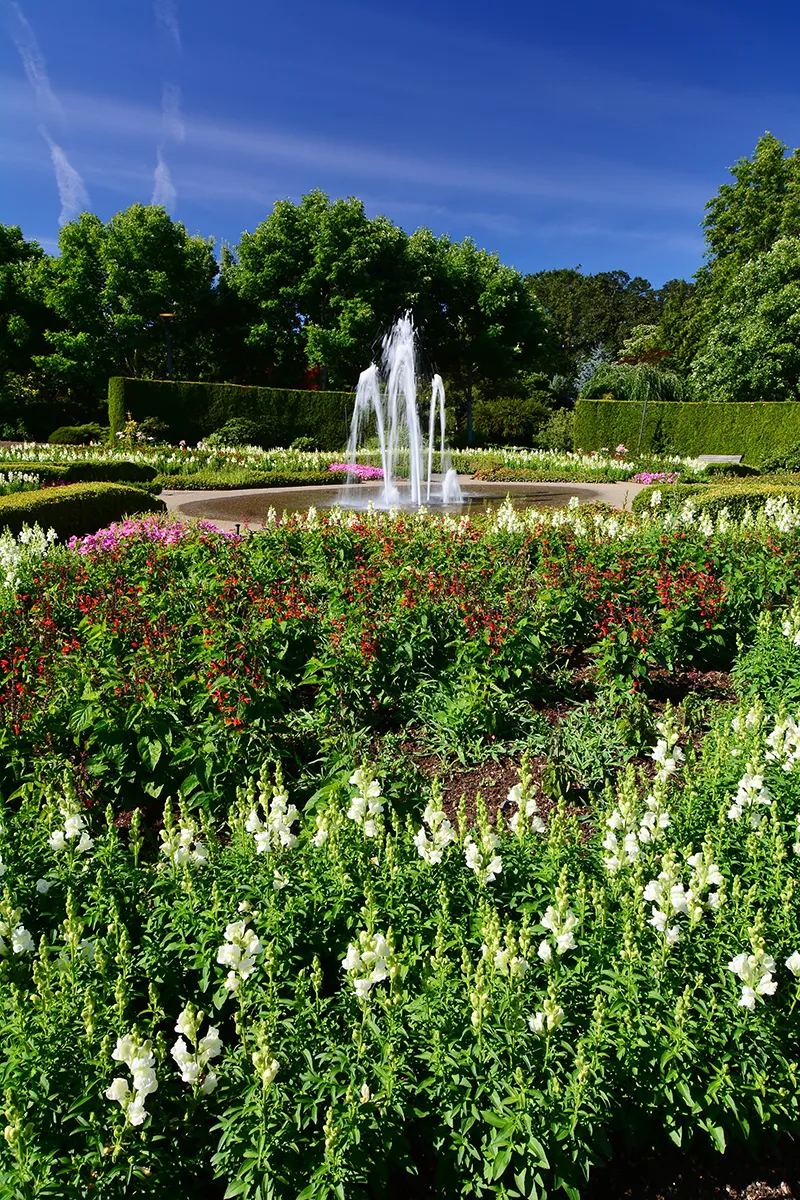 lush garden with fountain